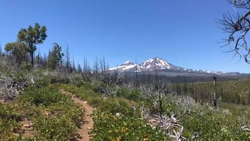 Three Sisters Skyline Image