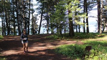 Sasquatch Shuffle Image