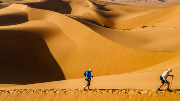 Rat Race Bucket List - Race to the Wreck Image
