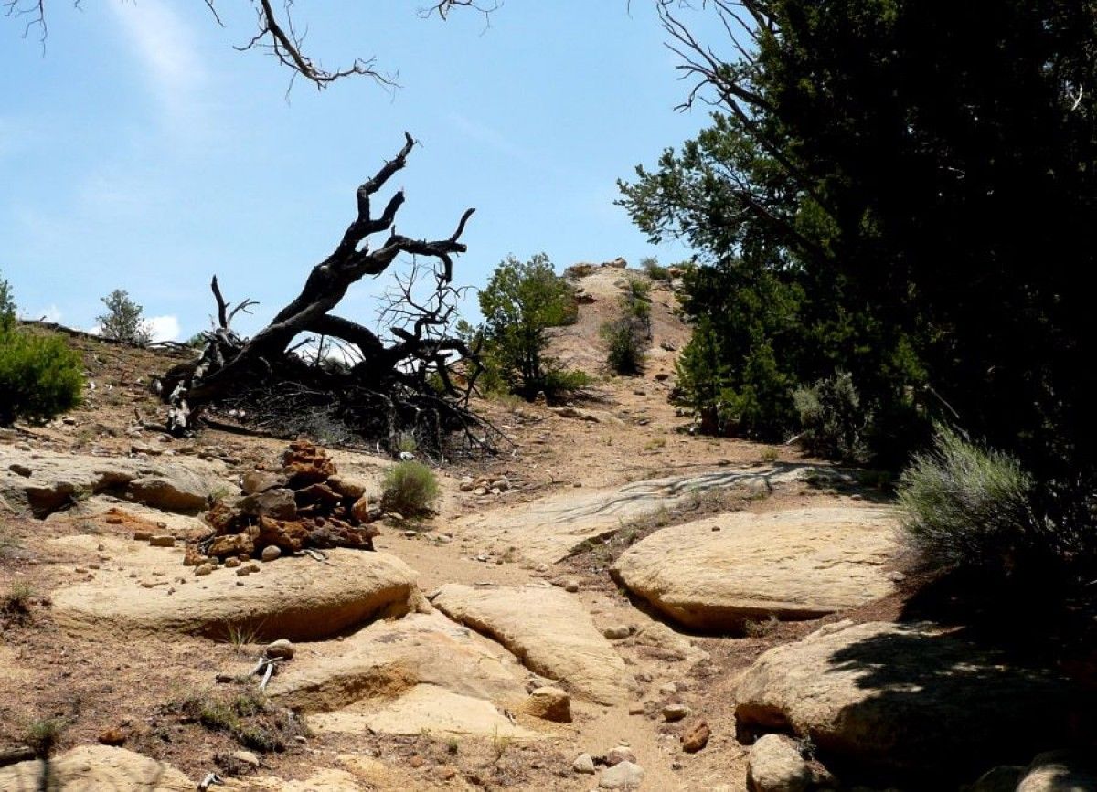 Deadman Peaks Trail Run Cuba , NM 11/04/23