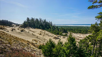 Siuslaw Dunes Trail Run Image
