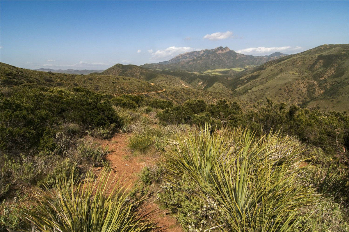 Point Mugu Trail Races (SAMO 100 Mile) Malibu , CA 06/08/24