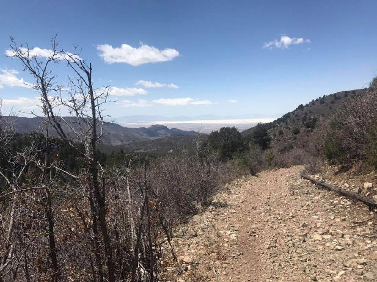 Cloudcroft Ultra 53k and 9.5 mile Cloudcroft , NM 08/17/24