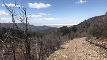 Cloudcroft Ultra 53k, and 9.5 & 4.75 mile Image