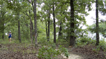 Lake Murray Endurance Run Image