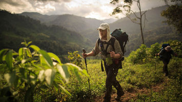 Panama Coast to Coast Image