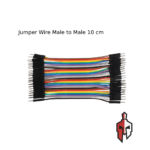 Jumper Wire Male to Male M2M 10cm in Sri Lanka
