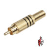 RCA Jack Black Gold in Sri Lanka