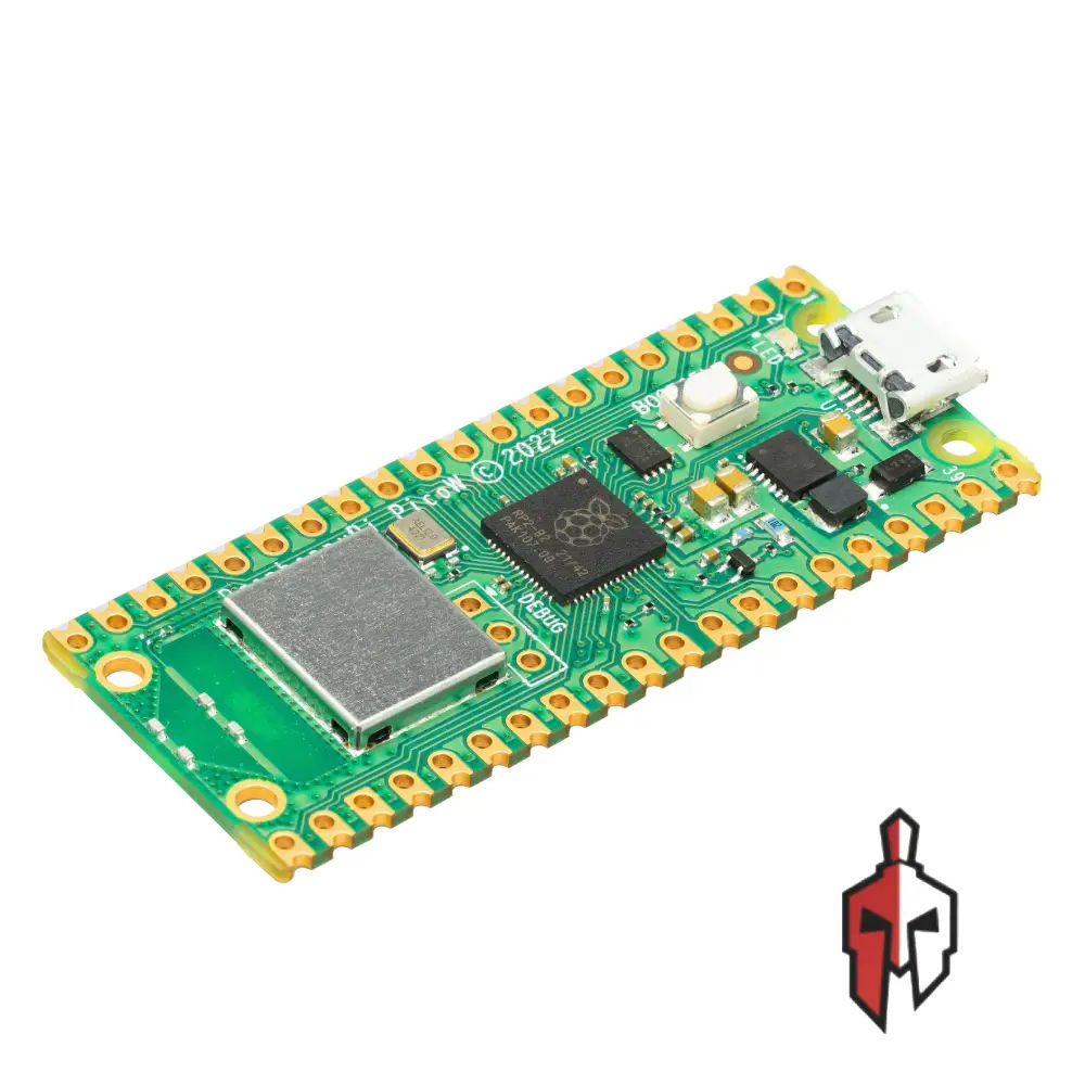 Raspberry Pi Pico W in Sri Lanka
