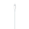 Apple Lightning to USB-C Cable - 2 - Umoja Marketplace