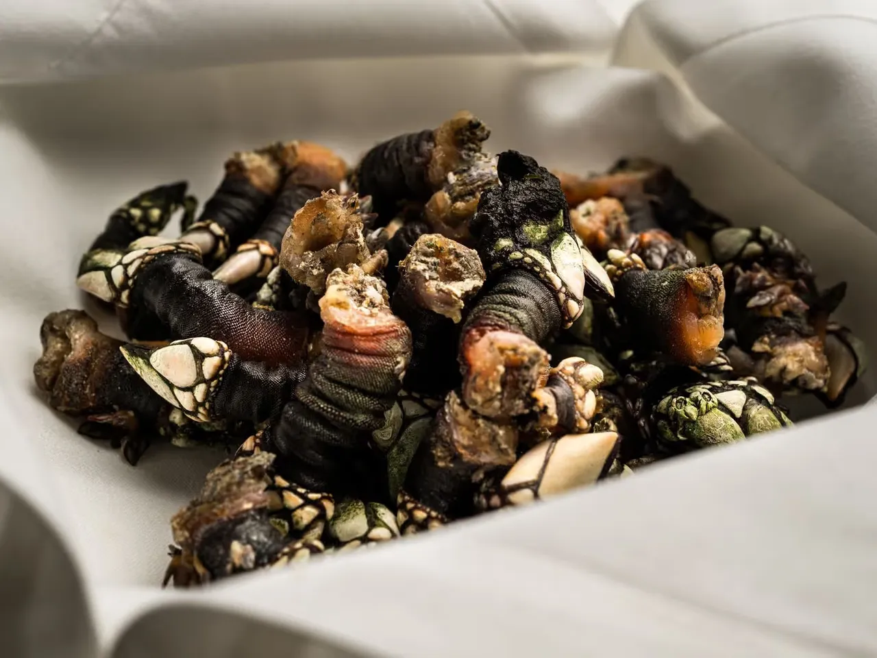 Cocina de autor en La Zamorana Cocina de autor en La Zamorana