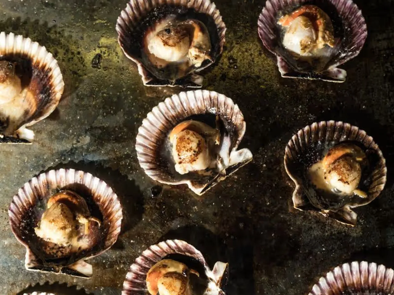 Platos de mariscos frescos de La Zamorana Platos de mariscos frescos de La Zamorana