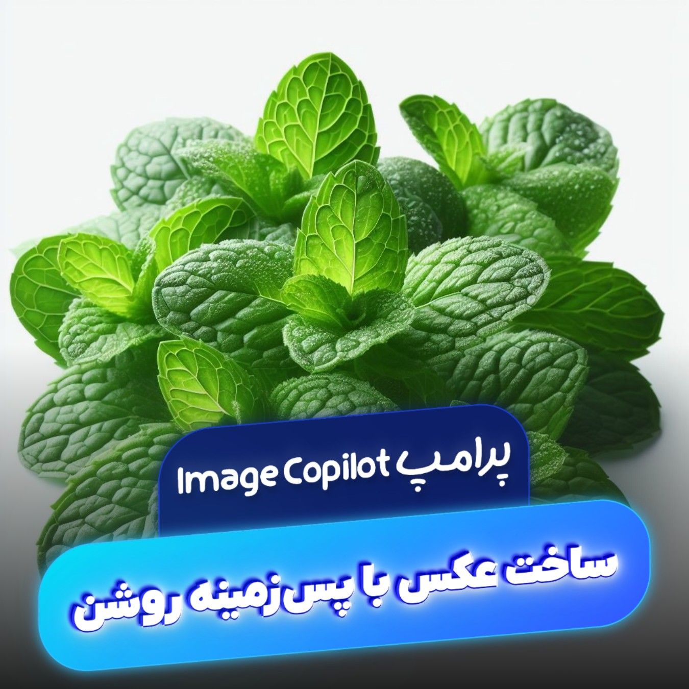 پرامت ساخت عکس با پس زمینه کاملا سفید