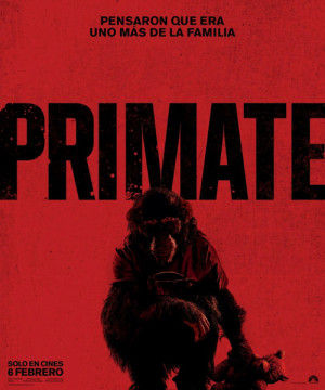 ‘Primate’ de Johannes Roberts (6 de febrero, 2026)