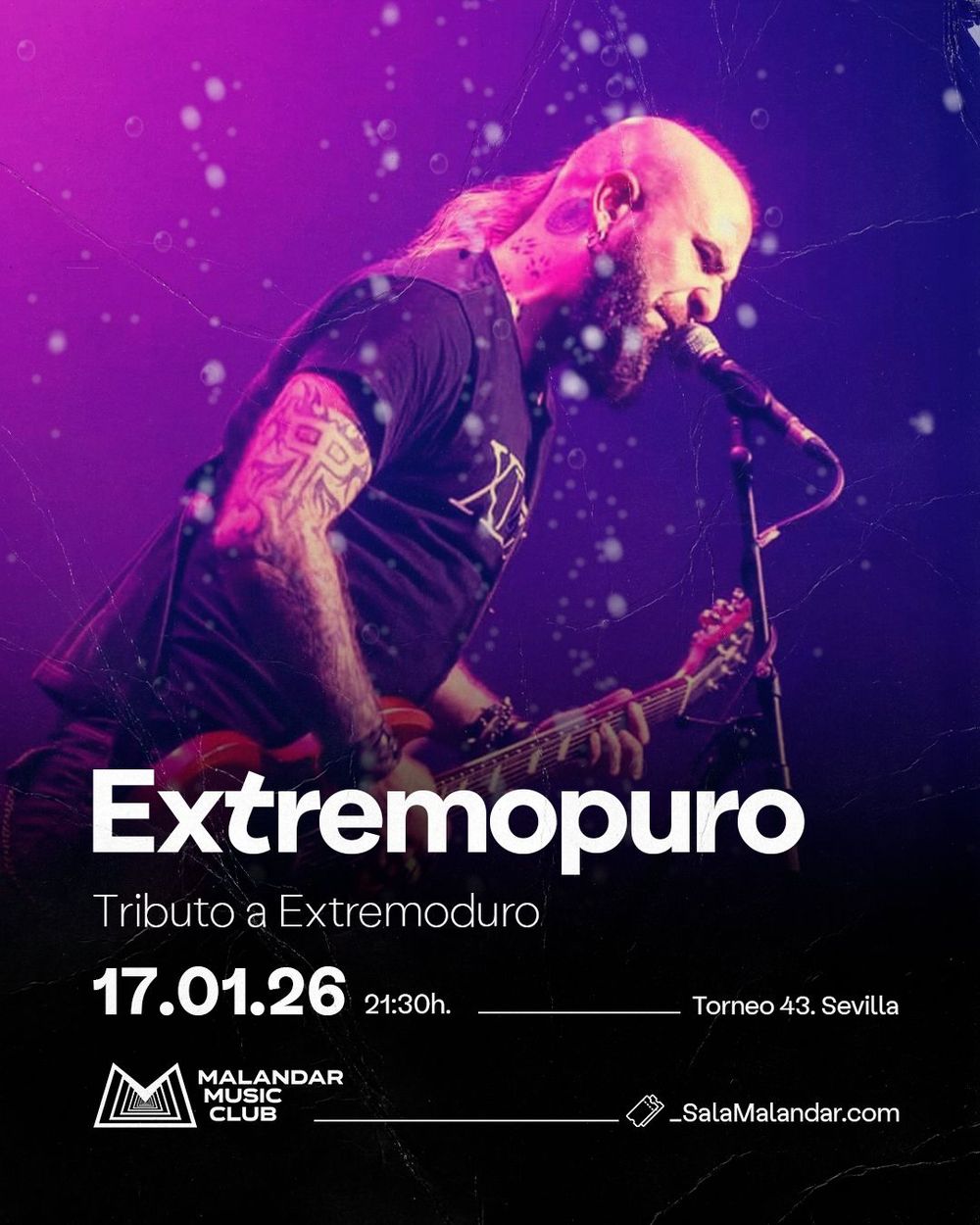 Conciertos Pasados