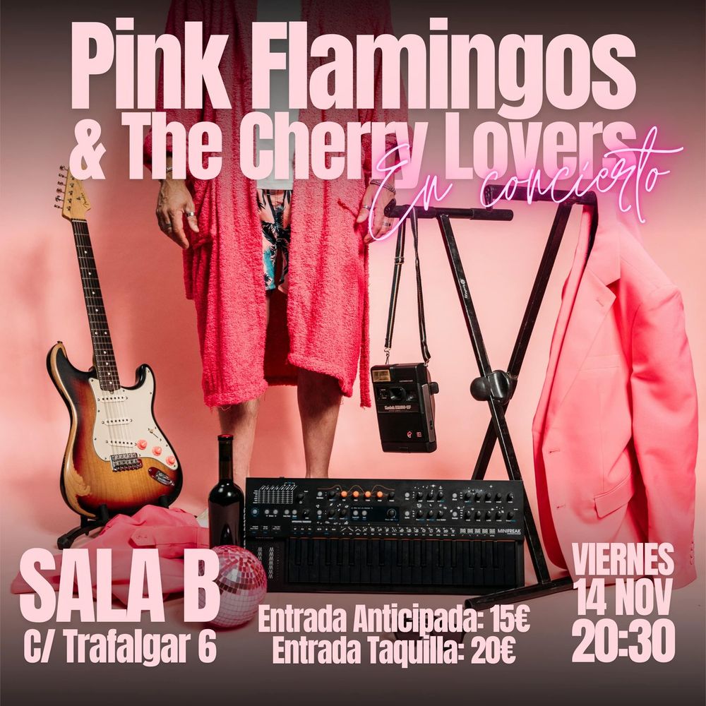 Noviembre-14 / Sala B Madrid / Pink Flamingos