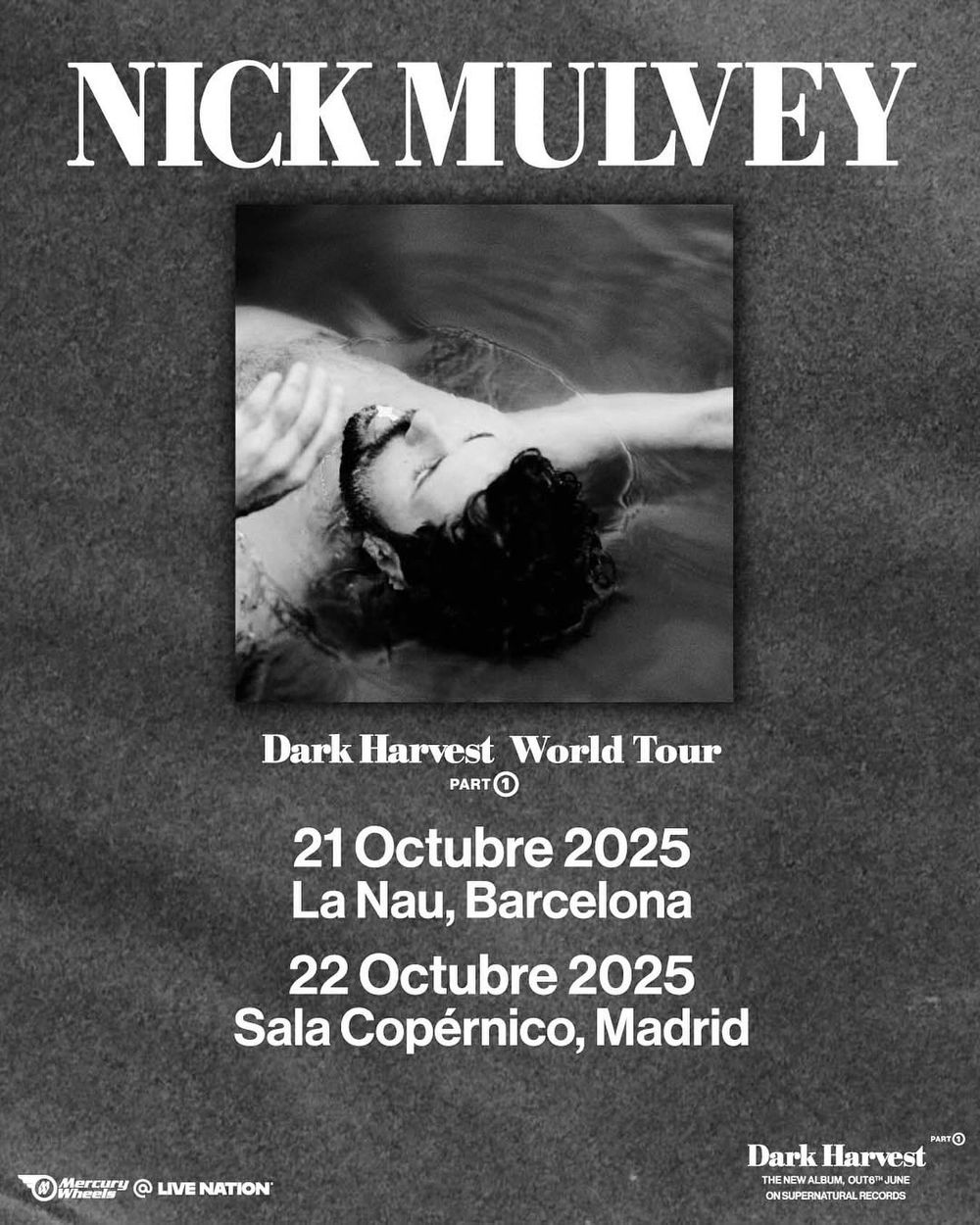 Octubre-21 / Razzmatazz / Nick Mulvey