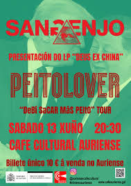 Conciertos Punk