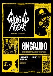 Conciertos Punk