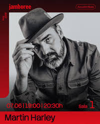 Conciertos de Soul