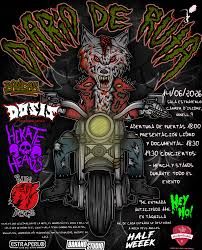 Conciertos Punk
