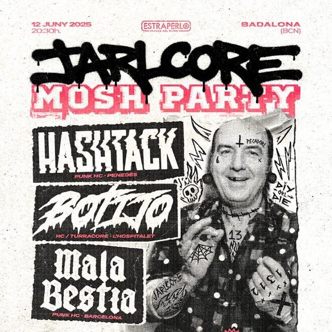 Conciertos Punk