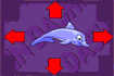 Dolphin dash