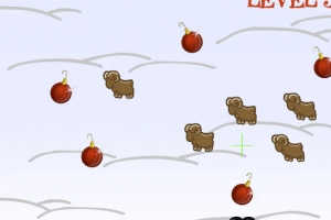 Chrismas shoot