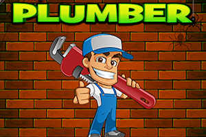 EG plumber