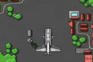 Flight simulator