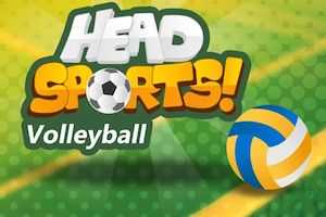 Head sports volleyball