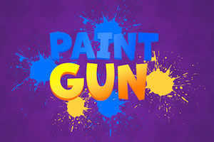 Paint gun