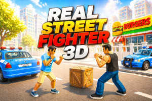 Real Street Fighter 3D