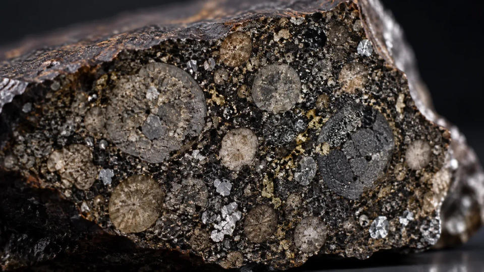 Macro view of a chondritic meteorite slice showing rounded chondrules, fine matrix, metallic grains, and sulfide-rich inclusions.