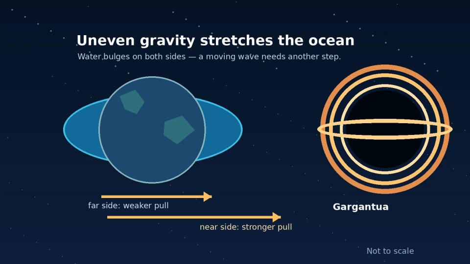 Diagram of a water-covered planet stretched into two ocean bulges by the unequal pull of a nearby black hole