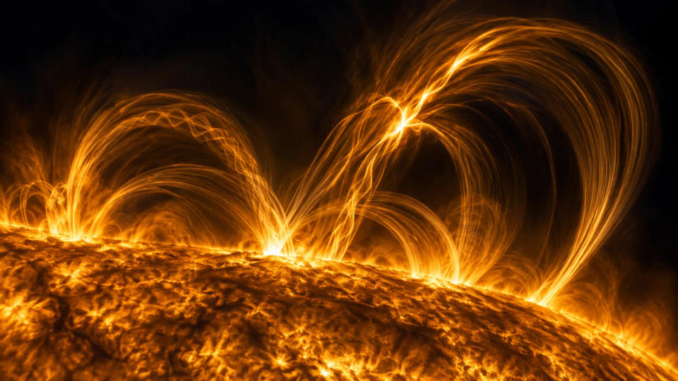 Braided coronal magnetic loops with bright knots and rippling plasma structures above the Sun’s edge