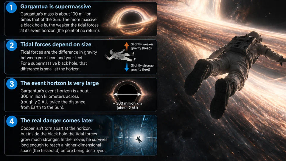 An illustrated comparison of Gargantua's enormous size, small head-to-foot gravity difference at the horizon, and greater danger deeper inside.