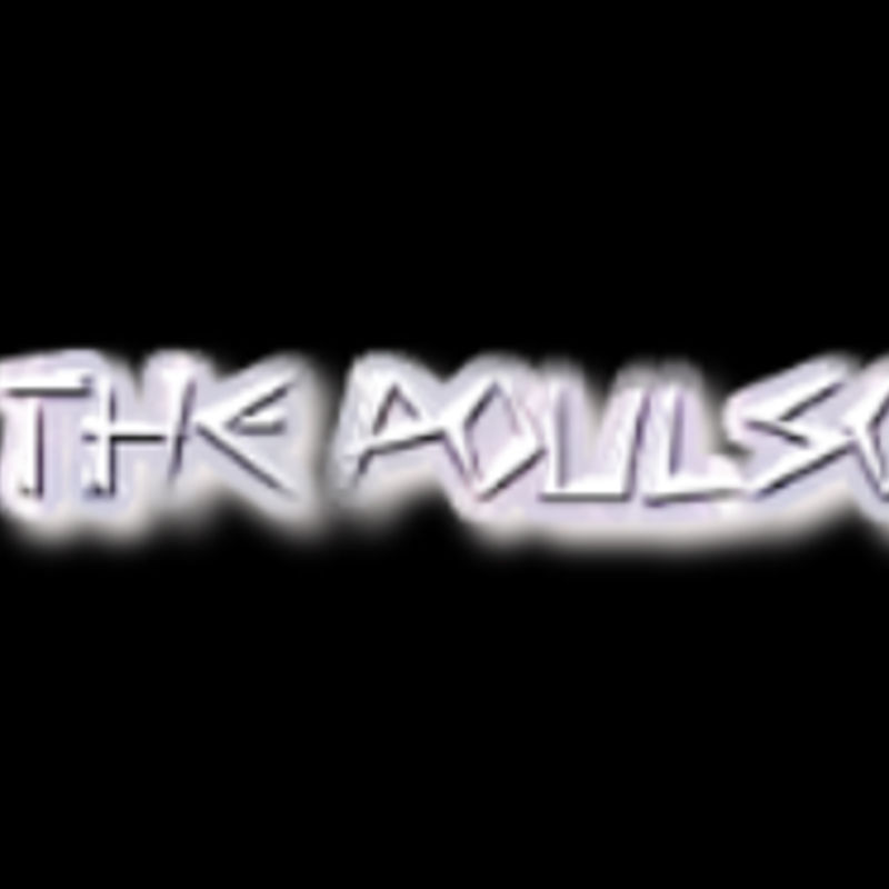 THE POULSONS photo