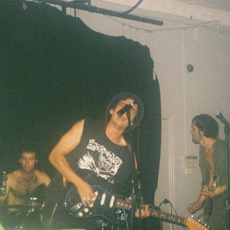 Worm Crown photo