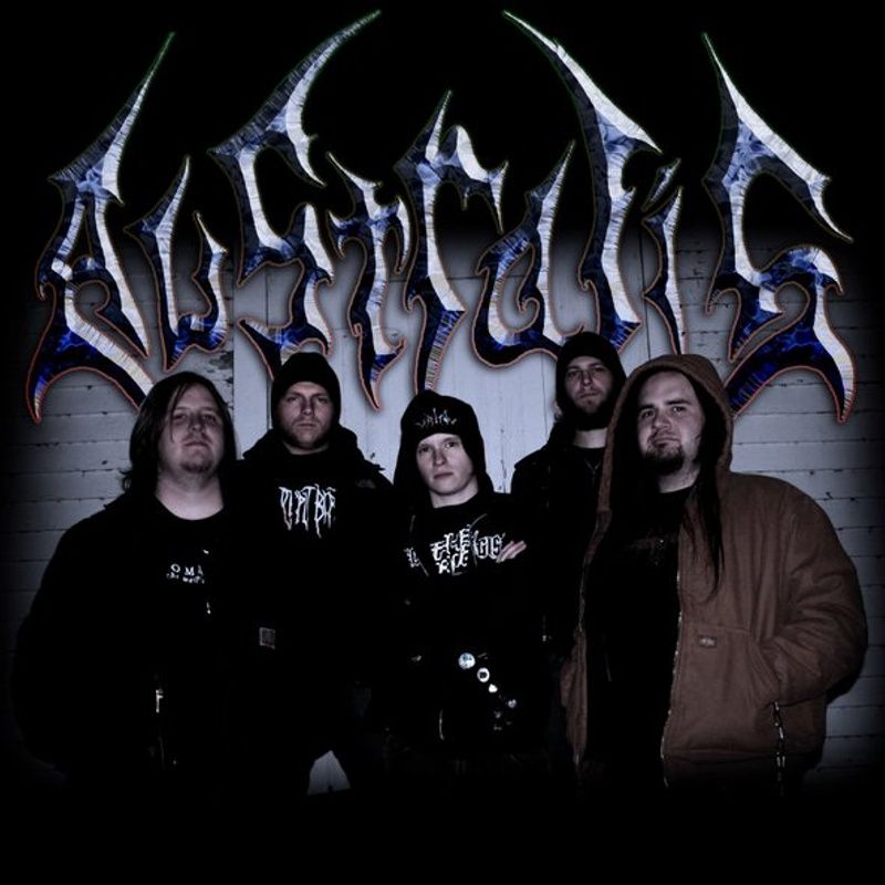 Australis photo