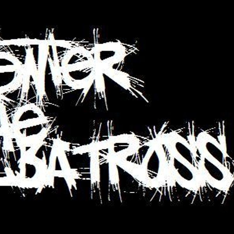 Enter The Albatross photo