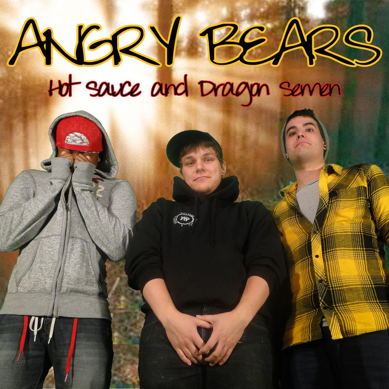 Angry Bears photo