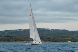 Thumbnail IMGL2911.jpg 1900px
