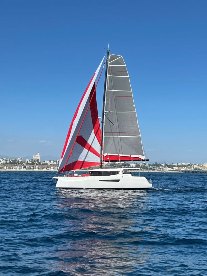 NEEL 47 ''Cogito''