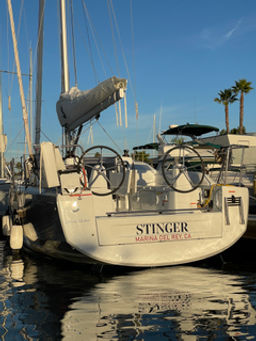 Thumbnail Stinger1