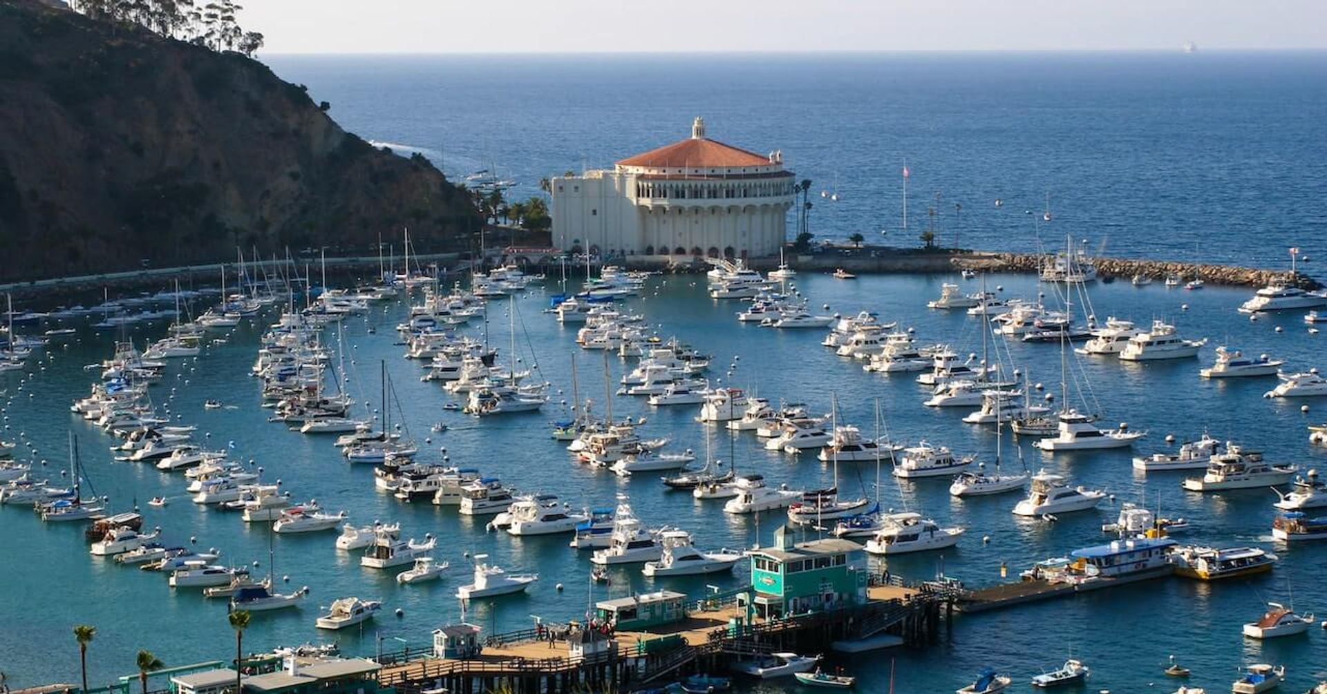 Charter boat to Catalina Island.