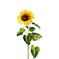 The General Intelligence Company logo