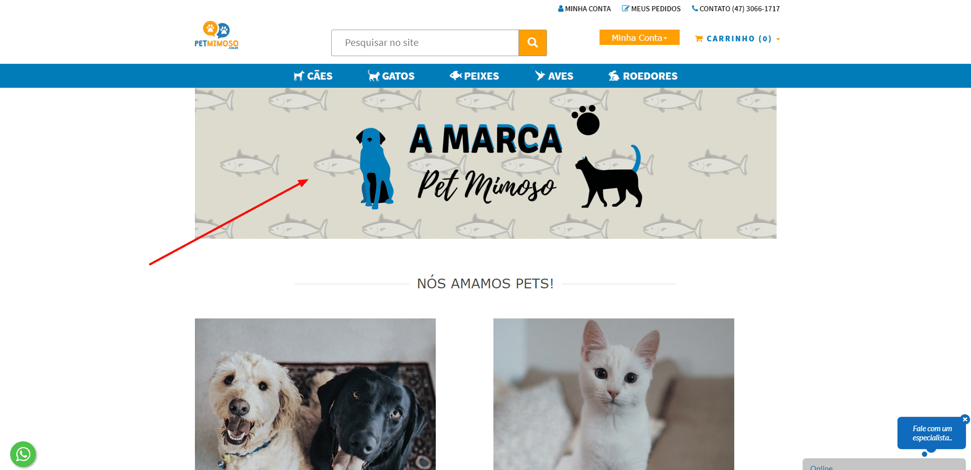 Imagem