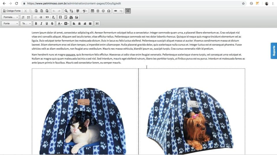 Imagem do vídeo Páginas & Textos - Páginas de Conteúdo - Alterando a descrição das páginas de conteúdo