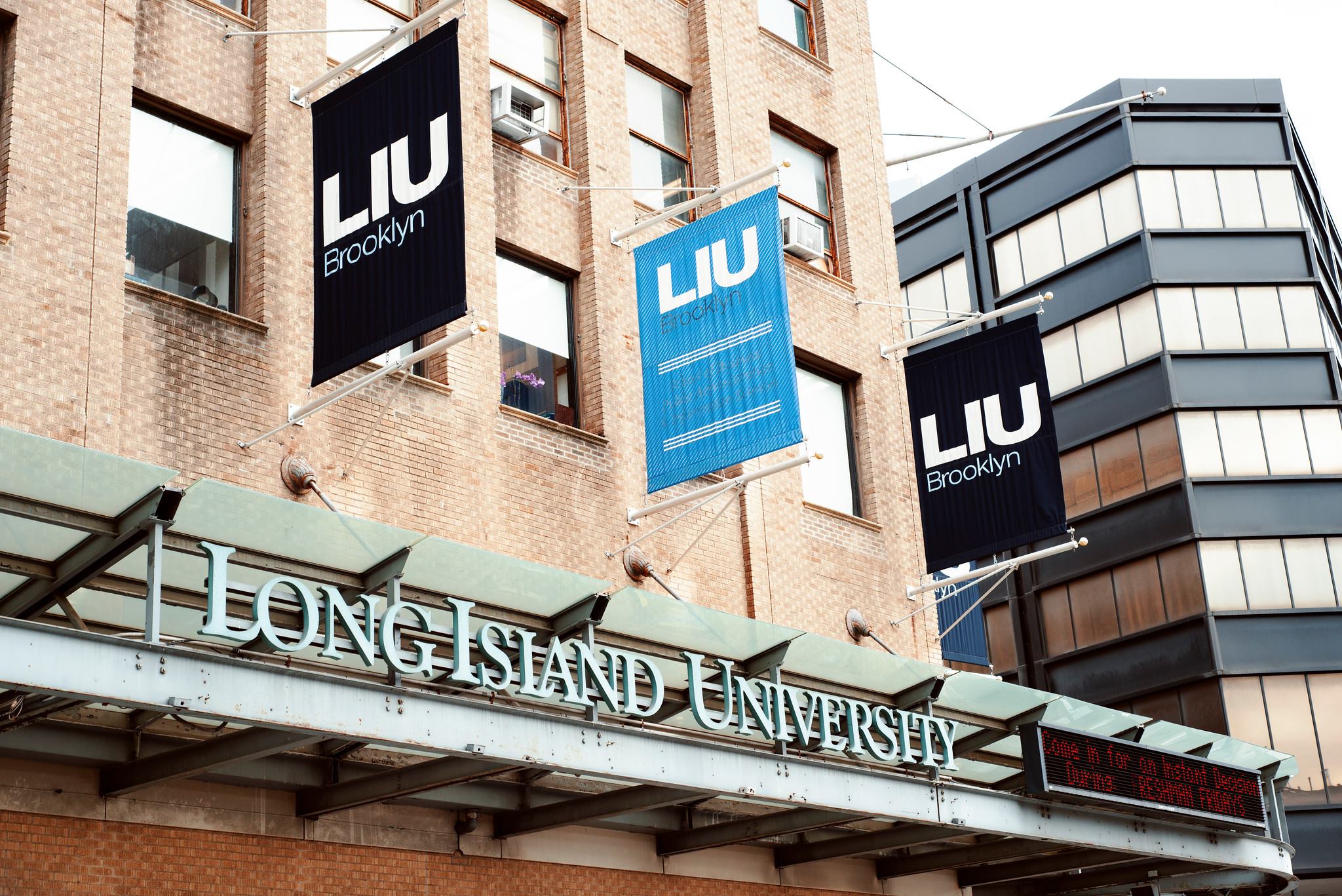 Long Island University